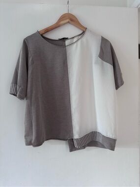 Zara Two-Tone Short Sleeve Top in Tan and White